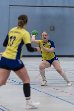 Bild 136 - F HSG Pinnau2 - Rellinger TV2 : Ergebnis: 27:20